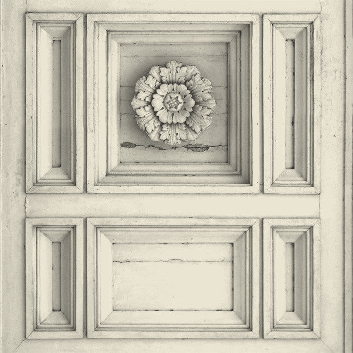 Cambridge Bone - DebbieMcKeegan -  - 1