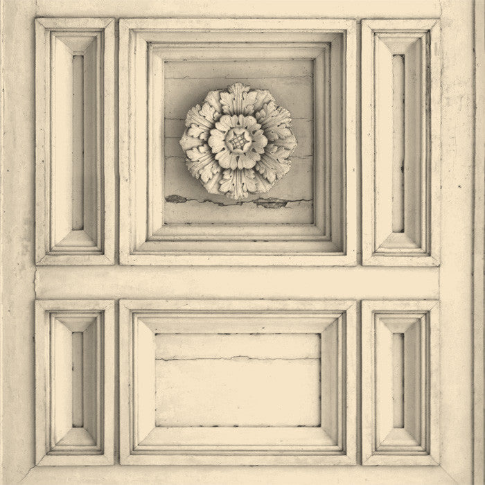 Cambridge Cream - DebbieMcKeegan -  - 1