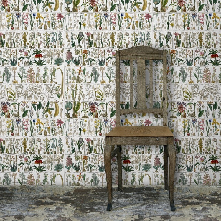 A pretty Vintage inspired wallpaper and fabric, finely detailed and drawn in the Botanical style.